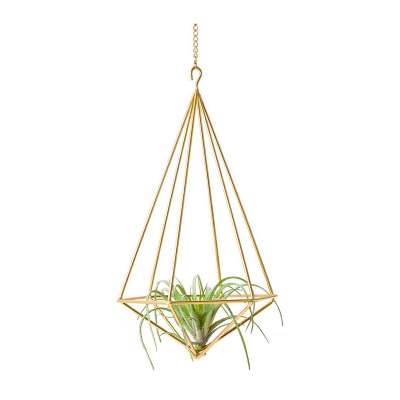 Hoop Metal Vertical Big Geometric Decorative Function Gold Hanging Pot Planter