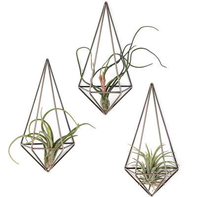 Wall Mounted Air Plant Holder Modern Geometric Planter Hanging Home Decor